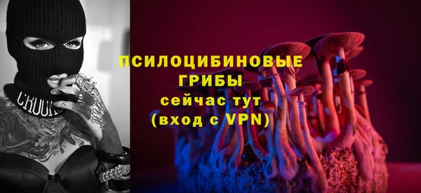 apvp Заволжье